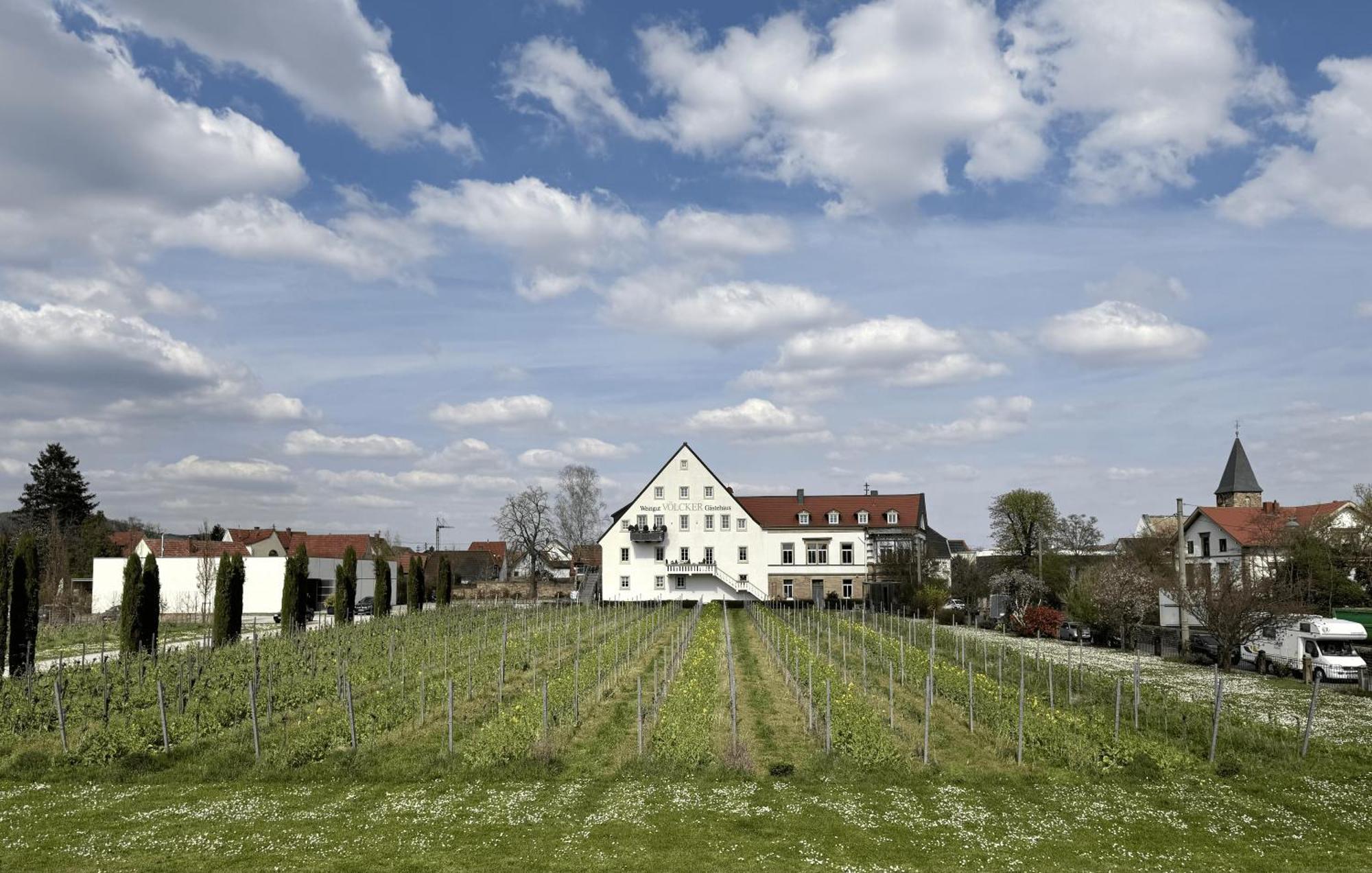 Appartement Weinzeit13 à Neustadt an der Weinstraße Extérieur photo